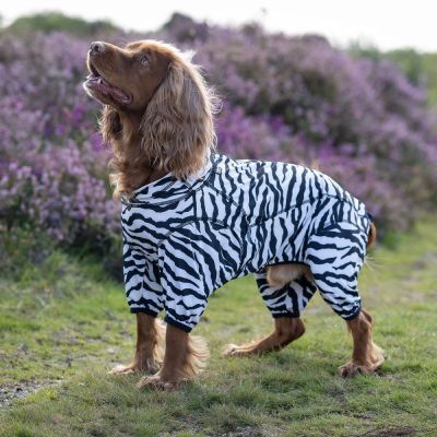 Rukka Zebra koiran haalari (65 cm)