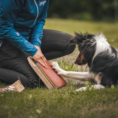 Loype Mani-Pedi raapimalauta koiralle