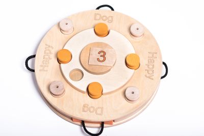 My Intelligent Dogs Birthday Cake – Älypeli koirille