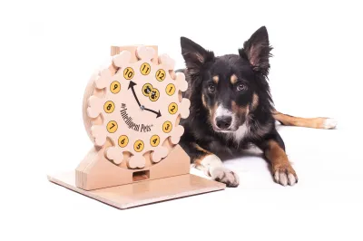 My Intelligent Dogs Clock – Älypeli koirille ja kissoille, kuva 1 / 1
