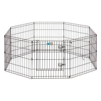 Pentuaitaus Little & Bigger