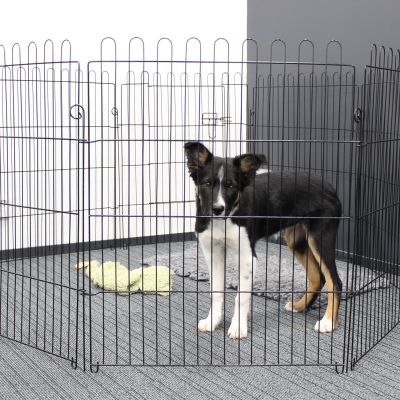 PetEasy Pentuaitaus Pet Easy