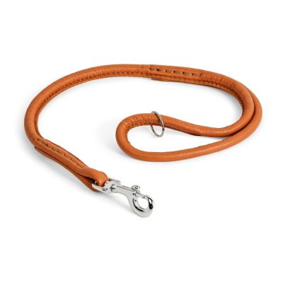 Nahkainen näyttelyhihna Show Dog, 60 cm