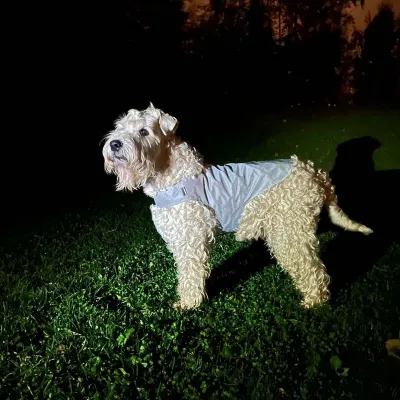 Heijastinliivi koiralle Icepeak Pet Brightly