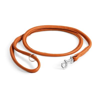 Nahkainen näyttelytalutin Show Dog, 120 cm