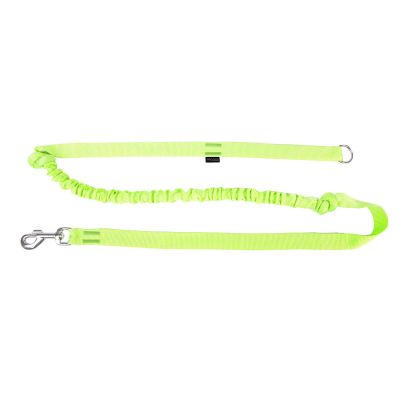 Pro Dog Nylontalutin ProDog Stretch