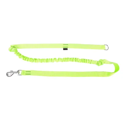 Pro Dog Nylontalutin ProDog Stretch