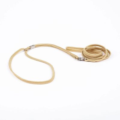 Näyttelyhihna Show Dog pyöreä, beige