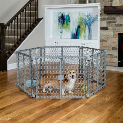 Carlson 2 in 1 Muoviportti ja Pentuaitaus, 6 paneelia