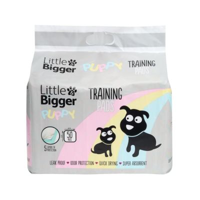 Little&Bigger Puppy Basics Pentualusta koiralle 50kpl 60x60cm