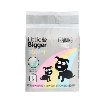 Little&Bigger Puppy Basics Pentualusta koiralle 10kpl 60x60cm