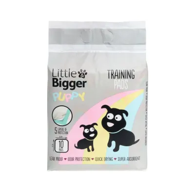 Little&Bigger Puppy Basics Pentualusta koiralle 10kpl 60x60cm