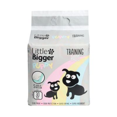 Little&Bigger Puppy Basics Pentualusta koiralle 30kpl 60x60cm