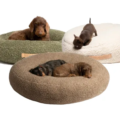 2.8 Fulvio - Bouclé Wool Koiranpeti, L / Pistaasi