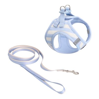 Basic Cat Striped -kissanvaljaat, beige/sininen