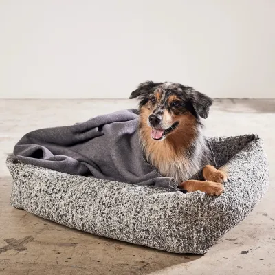 Laboni Ortho Siena ortopedinen koiranpeti, Nebula / L (112 x 95 x 25cm)