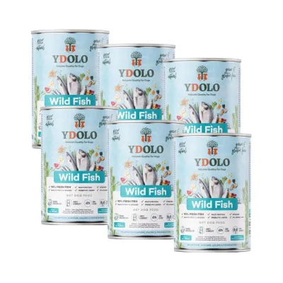 YDOLO Healthy & Pure Wild Fish - Märkäruoka 400g, 6x400g, kuva 1 / 1