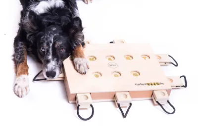 My Intelligent Dogs iPet - Älypeli Koirille, kuva 1 / 1