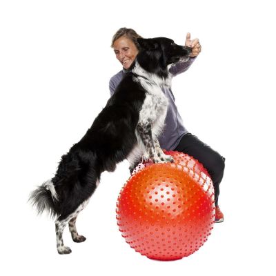 FitPaws Trax Peanut punainen, 50 x 50 x 20 cm