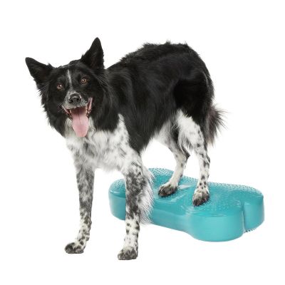 FitPaws K9FitBone, 58 x 29 x 10 cm