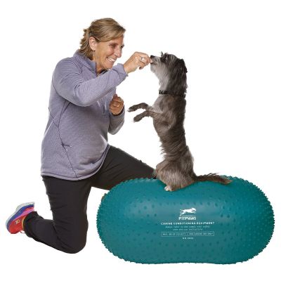 FitPaws Trax Peanut Blue, 60 x 60 x 20 cm