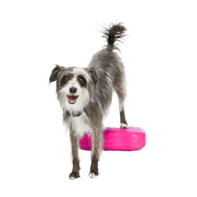 FitPaws K9FitBone Mini, 29 x 17 x 7 cm, 2 kpl