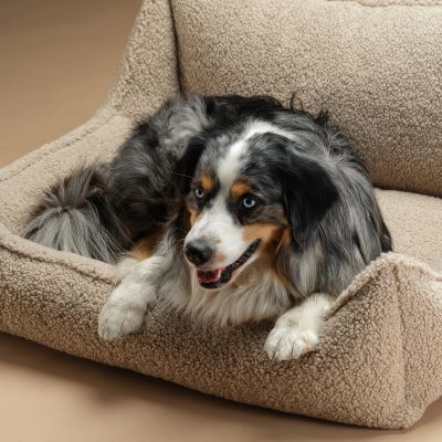 Wigiwama Pet Club Chair – lemmikin nojatuoli, Biscuit / L