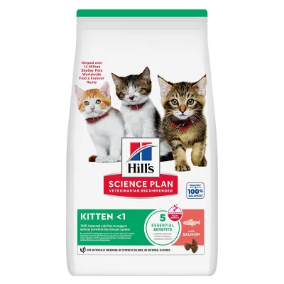 Hill's Science Plan Kitten Salmon