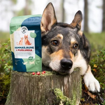 Tassu Foods Hammasjauhe + Puolukka 90 g