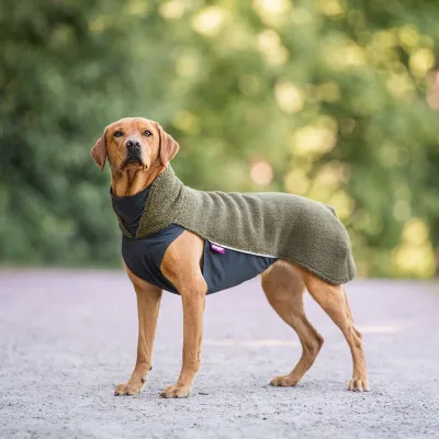 PolarPomppa Olive