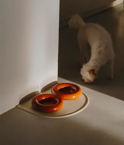 HotDog Pets Käsintehty posliinikulho koiralle - Ruskea, Pieni / Ruskea