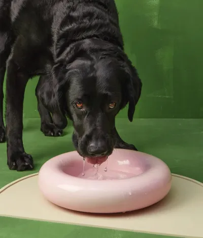 HotDog Pets Käsintehty posliinikulho koiralle - Roosa, Suuri / Roosa