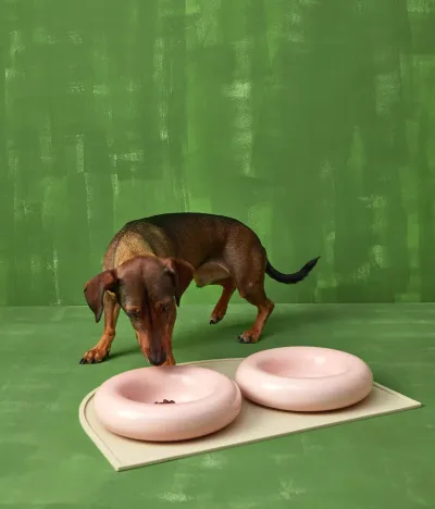 HotDog Pets Käsintehty posliinikulho koiralle - Roosa, Pieni / Roosa